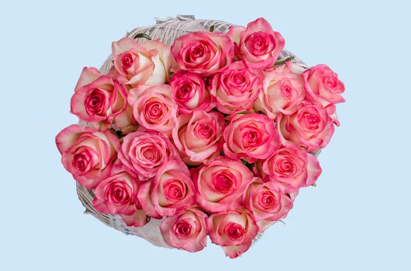 Naturliga Rosor Blommor Bukett Blå Bakgrund Vacker Bakgrund Närbild — Stockfoto
