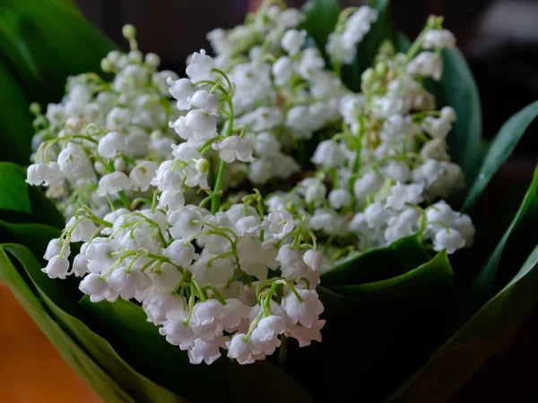 Lily Valley Fragrant White Flowers Bouquet Closeup — Stock Photo, Image