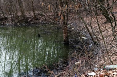 Kirleten plastik, akıntıya kapılmış eski ağaçlar, ilkbaharın başlarında, kapat.