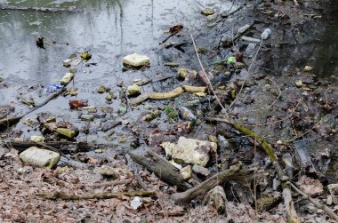 Kirleten plastik, akıntıya kapılmış eski ağaçlar, ilkbaharın başlarında, kapat.
