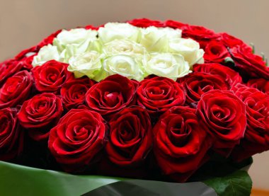 Bir buketteki kırmızı ve beyaz güller, bayram için bir hediye, doğum günü için, Sevgililer Günü, yakın plan.