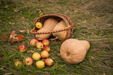 Kabak ve elma sepeti 