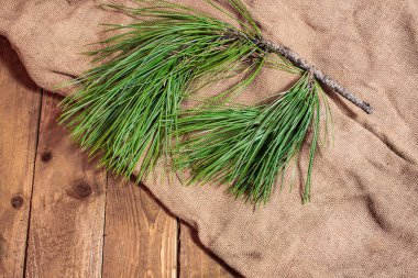 Eski ahşap tahta kırmızı sapılmak ve Ladin Xmas arka plan