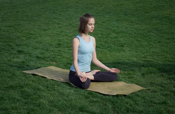 Молодая красивая приспособленная женщина делает yoga asans на зеленой траве с циновкой yoga — стоковое фото
