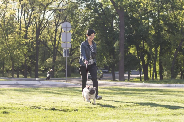 Mujer joven pasando un buen rato con pug en la hierba verde, chica bonita con perro jugar en el parque durante el atardecer o el amanecer —  Fotos de Stock