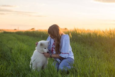Erkek samoyed köpek yavrusu yeşil çim oyun sırasında günbatımı