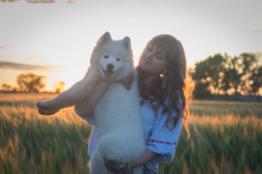 Erkek samoyed köpek yavrusu yeşil çim oyun sırasında günbatımı