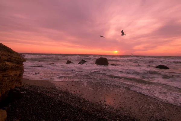 Peisaj Marin Frumos Timpul Răsăritului Cer Roz Portocaliu Colorat Furtună — Fotografie, imagine de stoc