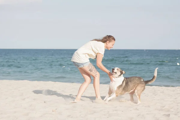 Jovem Mulher Com Cão Praia Verão Dia Ensolarado — Fotografia de Stock