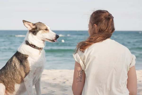 Jovem Mulher Com Cão Praia Verão Dia Ensolarado — Fotografia de Stock