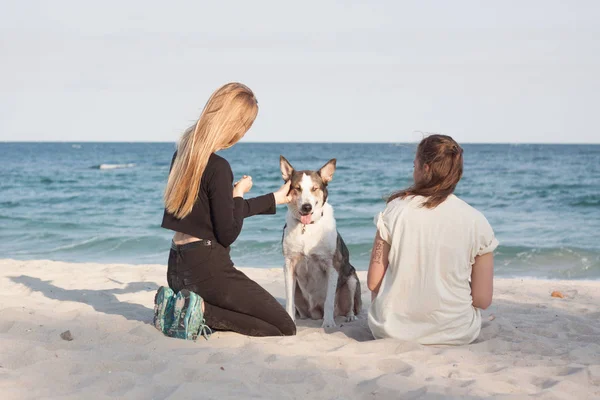 Casal Jovens Meninas Bonitas Brincar Com Cão Praia Ensolarada — Fotografia de Stock