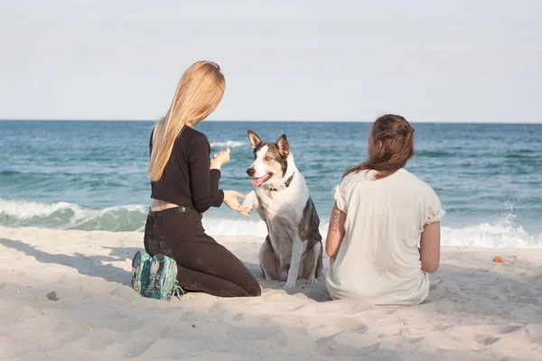 Casal Jovens Meninas Bonitas Brincar Com Cão Praia Ensolarada — Fotografia de Stock