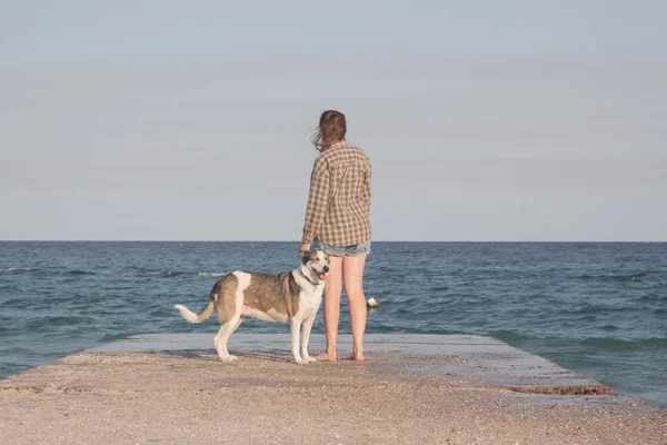 Mujer Joven Con Perro Playa Verano Día Soleado — Foto de Stock
