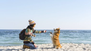 Genç ve mutlu bir kadın, sonbahar güneşli sahilde şirin bir Corgi sosisliyle yürüyor.