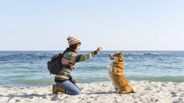 Genç ve mutlu bir kadın, sonbahar güneşli sahilde şirin bir Corgi sosisliyle yürüyor.
