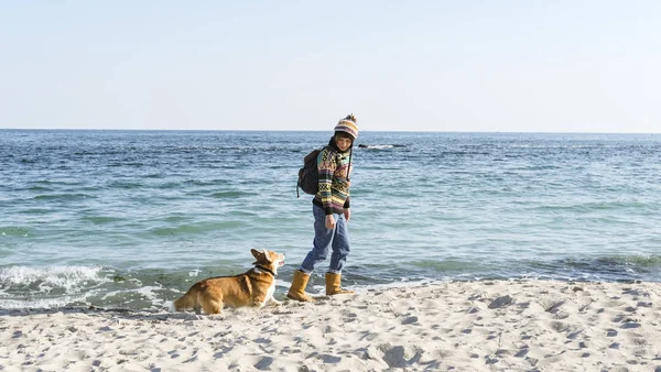 Jong Gelukkig Vrouw Lopen Met Schattige Corgi Hond Herfst Zonnig — Stockfoto