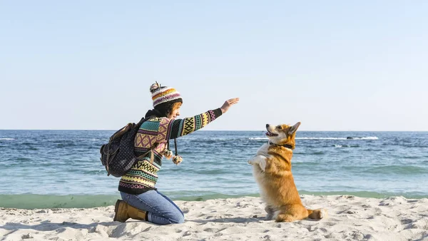 Joven Caminata Femenina Feliz Con Lindo Perro Corgi Playa Soleada —  Fotos de Stock