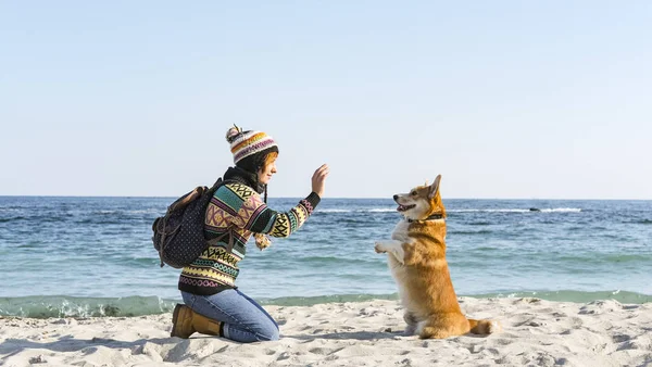 Młody Szczęśliwy Kobieta Spacer Cute Corgi Pies Jesieni Słoneczny Plaża — Zdjęcie stockowe