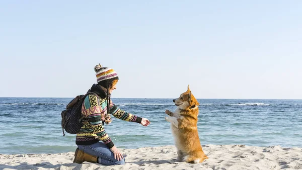 若いです幸せな女性の散歩かわいいコルギ犬とともに秋の晴れたビーチ — ストック写真