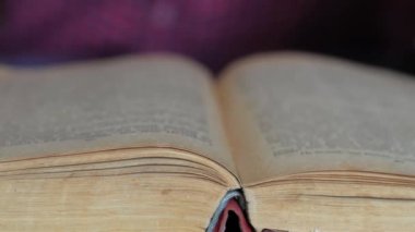 Kitap eğitimi konsepti videosunu kapat