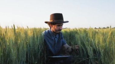 Şapkalı genç erkek buğday tarlasında tabletle çalışıyor.