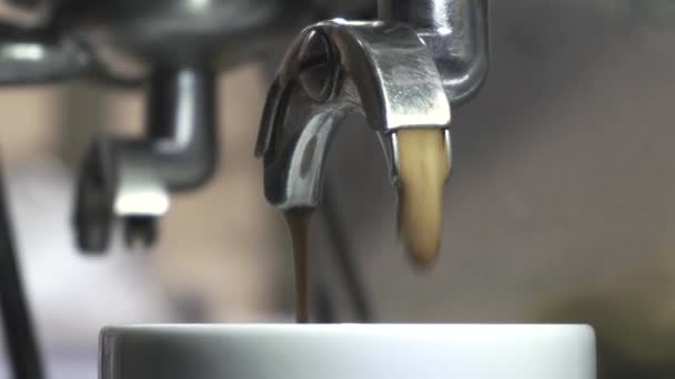 Работа Бариста Кофейне Процесс Приготовления Кофе Крупным Планом — стоковое видео