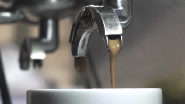 Trabalho Barista Café Processo Preparação Café Perto — Vídeo de Stock