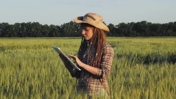 Jovem Agricultora Trabalha Nos Campos Trigo Com Tablet Nas Mãos — Vídeo de Stock