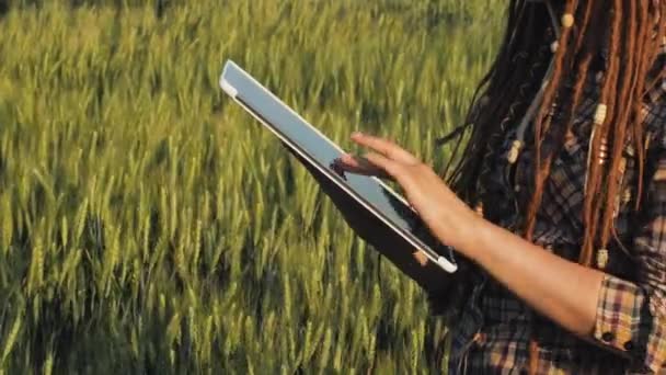 Jovem Agricultora Trabalha Nos Campos Trigo Com Tablet Nas Mãos — Vídeo de Stock