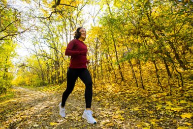Genç mutlu kadın koşucu eğitimi güneşli sonbahar parkında
