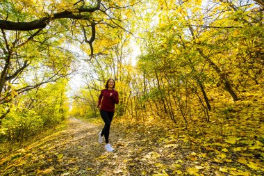Genç mutlu kadın koşucu eğitimi güneşli sonbahar parkında