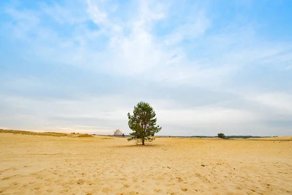 Landscape Desert Ukraine — Stock Photo, Image