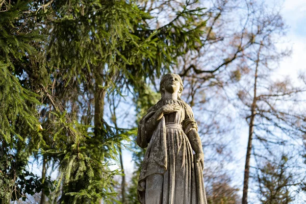 Lviv, Ukrayna - Aralık 2019: Lychakiv Mezarlığı, 18-20 yüzyıl mimari eserleri ve Ukrayna ve Polonya 'nın kültürel ve bilimsel figürlerinin mezarları