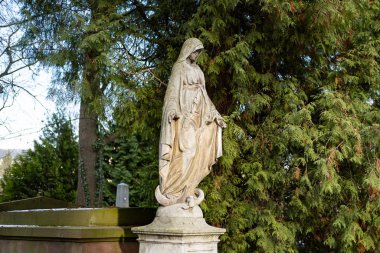 Lviv, Ukrayna - Aralık 2019: Lychakiv Mezarlığı, 18-20 yüzyıl mimari eserleri ve Ukrayna ve Polonya 'nın kültürel ve bilimsel figürlerinin mezarları