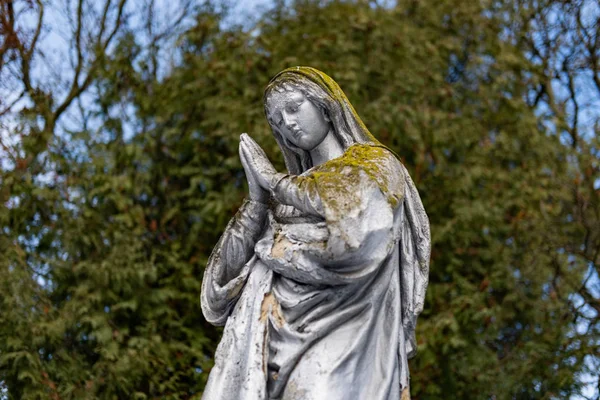 Lviv Ukraine December 2019 Lychakiv Cemetery Historic Cemetery Many Architectural — 스톡 사진