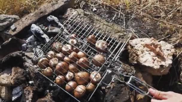 Cottura Verdure Sul Campo Fuoco Picnic All Aperto — Video Stock