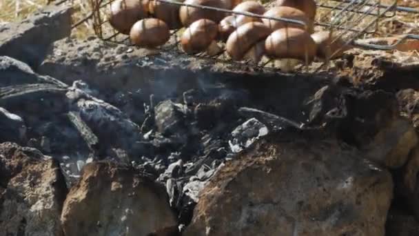 Cozinhar Legumes Campo Incêndio Piquenique Livre — Vídeo de Stock