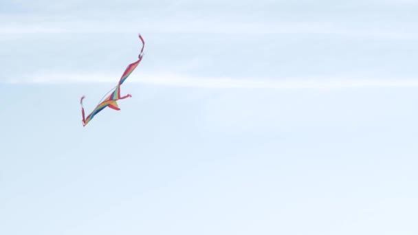 Молодой Красивый Мужчина Радужным Воздушным Змеем Веселится Открытом Воздухе — стоковое видео