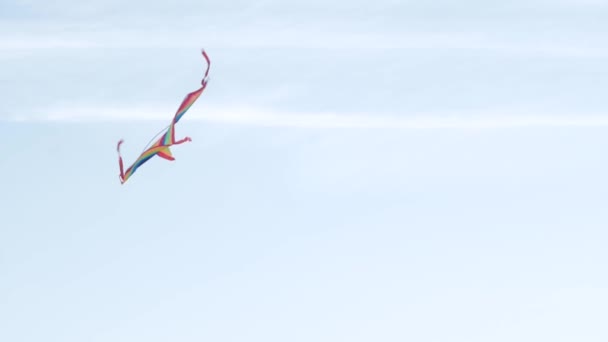 Joven Guapo Macho Con Arco Iris Color Cometa Divertirse Aire — Vídeos de Stock