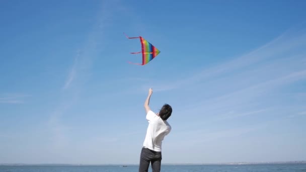 Young Handsome Male Rainbow Colored Kite Having Fun Outdoors — Stock Video
