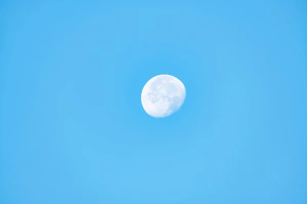 Paysage Avec Grande Lune Pins Ciel Bleu — Photo