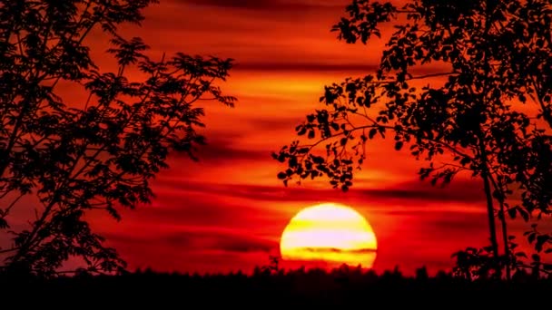 Timelapse del atardecer naranja — Vídeos de Stock