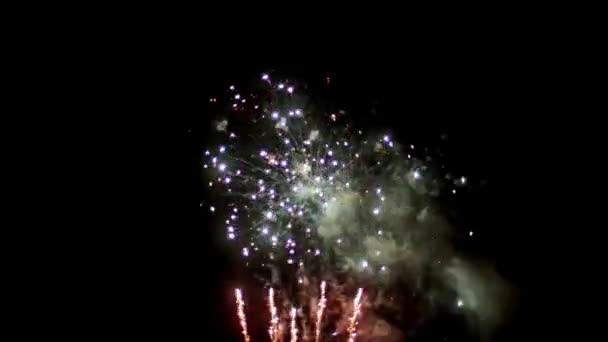 Fuochi d'artificio di notte al rallentatore — Video Stock