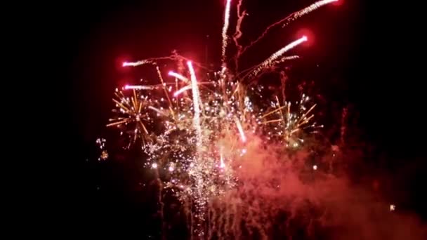 Fogos de artifício à noite em câmera lenta — Vídeo de Stock