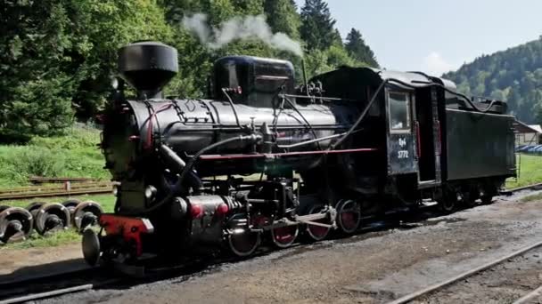 Old steam locomotive — Stock Video