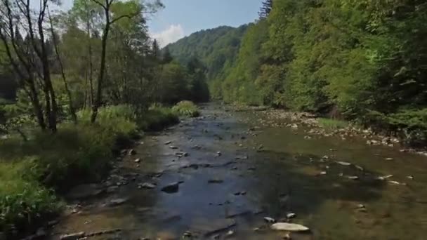 Luchtfoto van de rivier in Bergen — Stockvideo