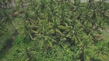 Bali Beach havadan görünümü