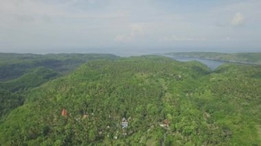 bir ormanın Bali havadan görünümü