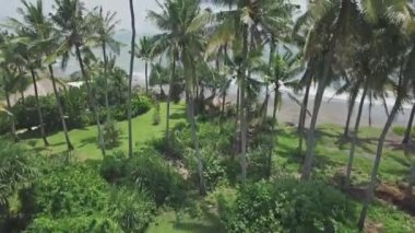 Bali Beach havadan görünümü