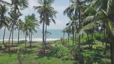 Bali Beach havadan görünümü